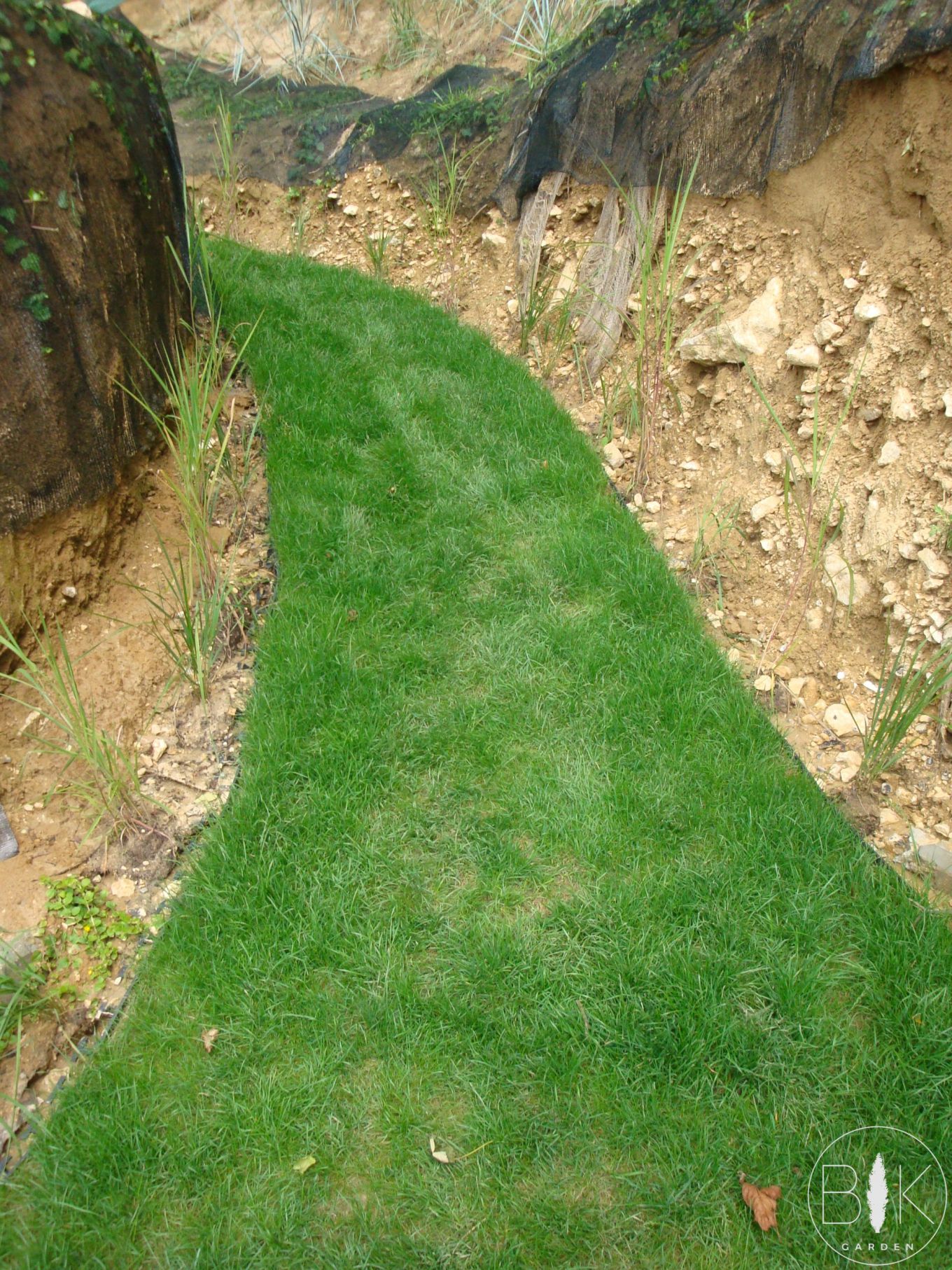 Trawnik z rolki