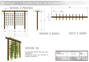 pakiet max projekt trejaz