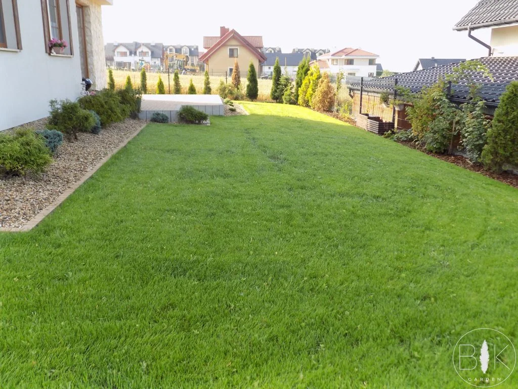 Zakładanie trawników z siewu – czy warto się na to zdecydować?